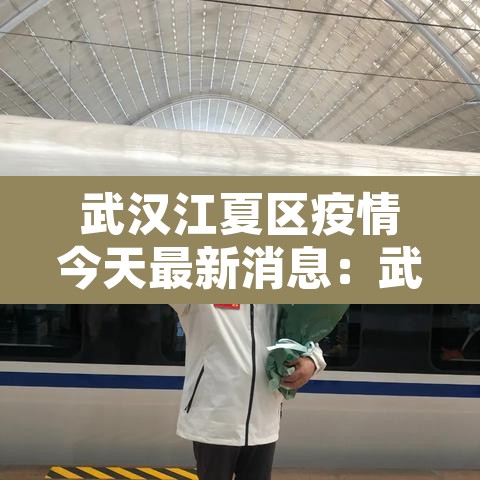 武汉江夏区疫情今天最新消息:武汉江夏区最新疫情通报 武汉江夏区疫情今天最新消息:武汉江夏区最新疫情通报