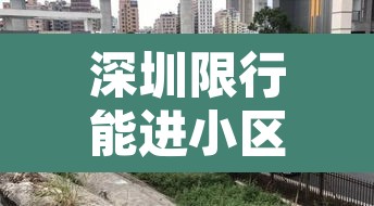 深圳限行能进小区吗吗—(深圳限行能出去吗) 深圳限行能进小区吗吗—(深圳限行能出去吗)