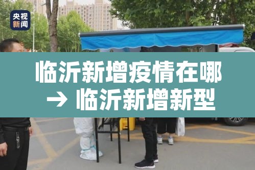 临沂新增疫情在哪 → 临沂新增新型冠状病毒