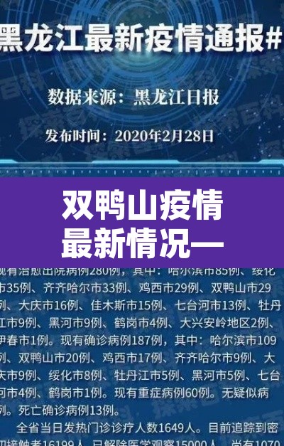 双鸭山疫情最新情况—(双鸭山发布最新疫情) 双鸭山疫情最新情况—(双鸭山发布最新疫情)