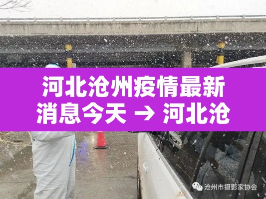河北沧州疫情最新消息今天 → 河北沧州疫情情况