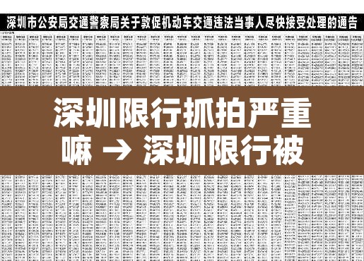 深圳限行抓拍严重嘛 → 深圳限行被拍罚多少