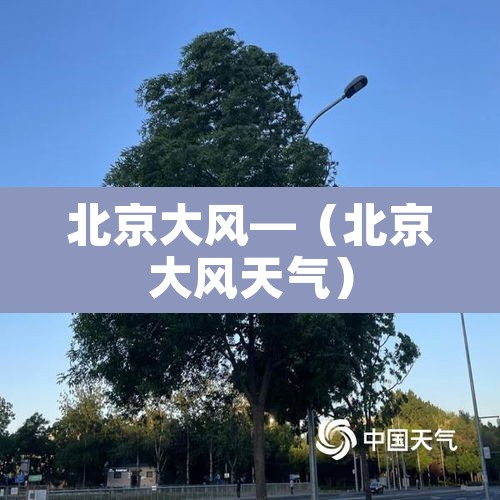 北京大风—（北京大风天气）