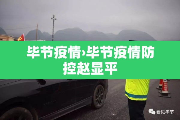 毕节疫情›毕节疫情防控赵显平 毕节疫情›毕节疫情防控赵显平