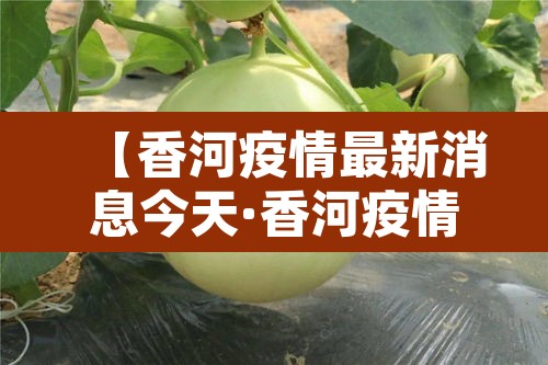 【香河疫情最新消息今天·香河疫情最新消息今天封城了】 【香河疫情最新消息今天·香河疫情最新消息今天封城了】