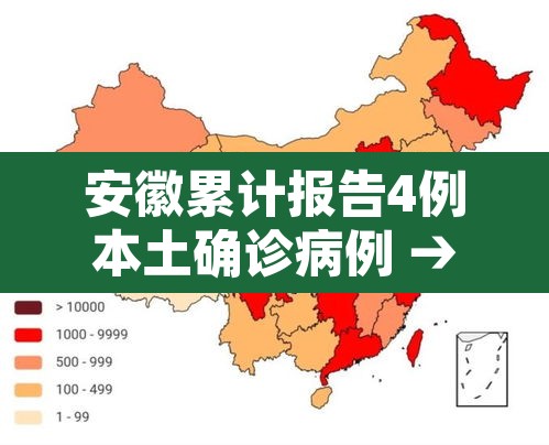 安徽累计报告4例本土确诊病例 → 安徽共报告4例本土确诊