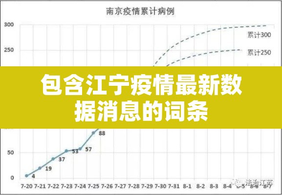 包含江宁疫情最新数据消息的词条