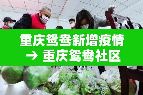 重庆鸳鸯新增疫情 → 重庆鸳鸯社区医院地址 重庆鸳鸯新增疫情 → 重庆鸳鸯社区医院地址