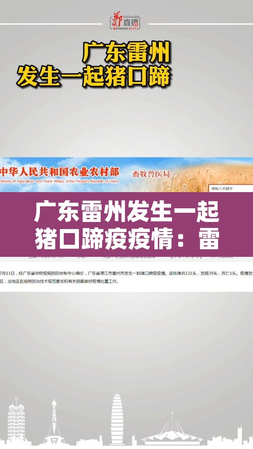 广东雷州发生一起猪口蹄疫疫情:雷州市今天猪价 广东雷州发生一起猪口蹄疫疫情:雷州市今天猪价