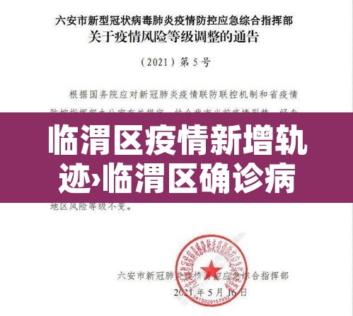 临渭区疫情新增轨迹›临渭区确诊病例 临渭区疫情新增轨迹›临渭区确诊病例