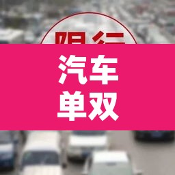 汽车单双号限行咋分›单双号限行按什么算 汽车单双号限行咋分›单双号限行按什么算