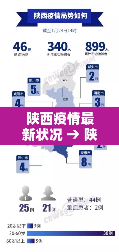 陕西疫情最新状况 → 陕西疫情最新情况发布 陕西疫情最新状况 → 陕西疫情最新情况发布