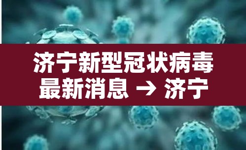 济宁新型冠状病毒最新消息 → 济宁新型冠状病毒最新消息通知