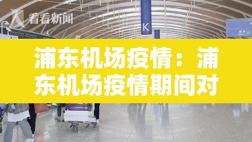 浦东机场疫情：浦东机场疫情期间对比图