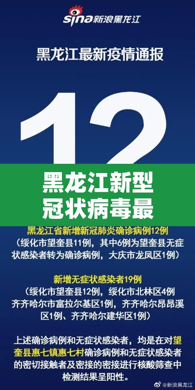 黑龙江新型冠状病毒最新消息:黑龙江新冠病毒最新情况 最新消息 黑龙江新型冠状病毒最新消息:黑龙江新冠病毒最新情况 最新消息