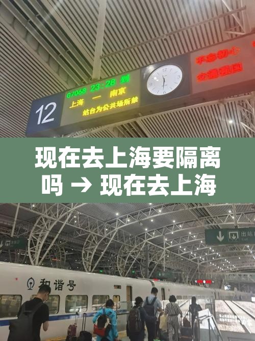 现在去上海要隔离吗 → 现在去上海是否要隔离 现在去上海要隔离吗 → 现在去上海是否要隔离