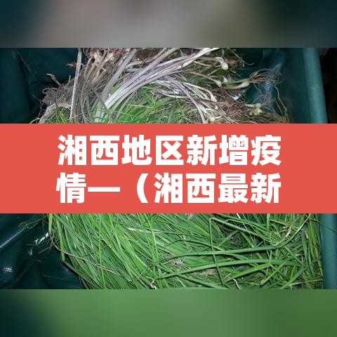 湘西地区新增疫情—(湘西最新疫情报告) 湘西地区新增疫情—(湘西最新疫情报告)