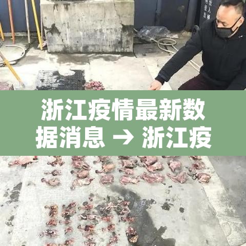 浙江疫情最新数据消息 → 浙江疫情最新消息疫情报告
