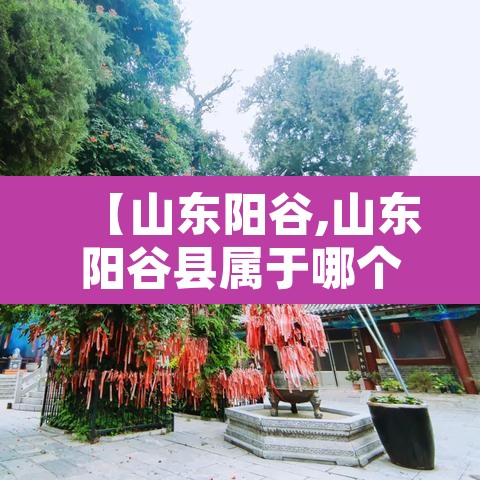 【山东阳谷,山东阳谷县属于哪个市】 【山东阳谷,山东阳谷县属于哪个市】