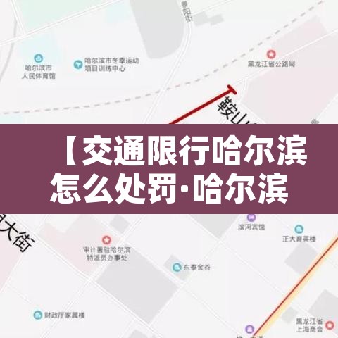【交通限行哈尔滨怎么处罚·哈尔滨交通限号路段】