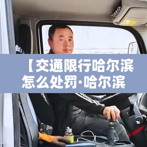 【交通限行哈尔滨怎么处罚·哈尔滨交通限号路段】