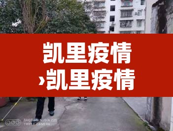 凯里疫情›凯里疫情管控