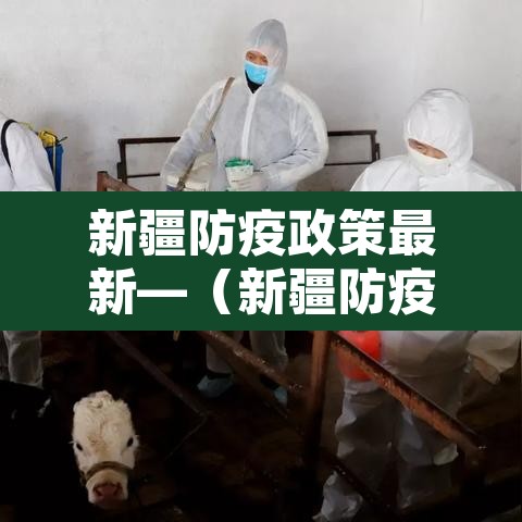 新疆防疫政策最新—(新疆防疫政策最新消息) 新疆防疫政策最新—(新疆防疫政策最新消息)