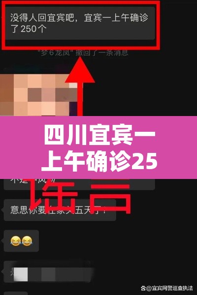 四川宜宾一上午确诊250个？官方辟谣 → 宜宾确诊轨迹