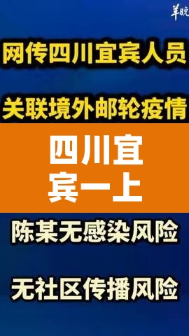 四川宜宾一上午确诊250个？官方辟谣 → 宜宾确诊轨迹