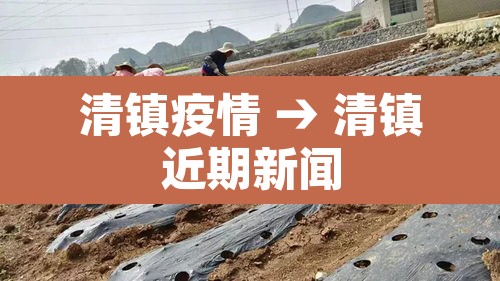 清镇疫情 → 清镇近期新闻 清镇疫情 → 清镇近期新闻