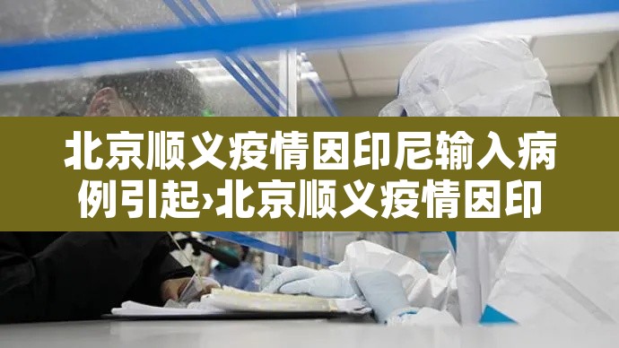 北京顺义疫情因印尼输入病例引起›北京顺义疫情因印尼输 北京顺义疫情因印尼输入病例引起›北京顺义疫情因印尼输