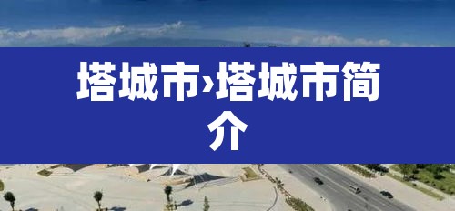 塔城市›塔城市简介