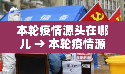 本轮疫情源头在哪儿 → 本轮疫情源头在哪里
