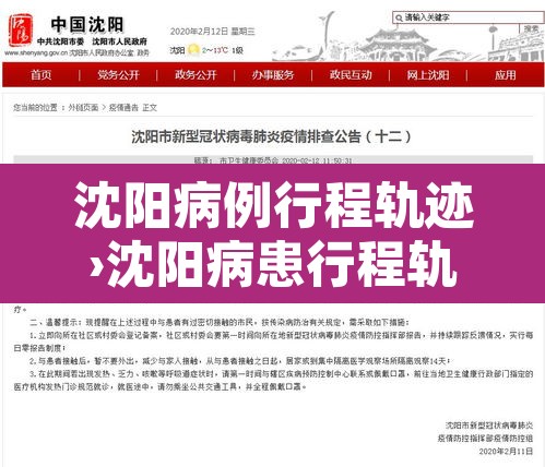 沈阳病例行程轨迹›沈阳病患行程轨迹 沈阳病例行程轨迹›沈阳病患行程轨迹