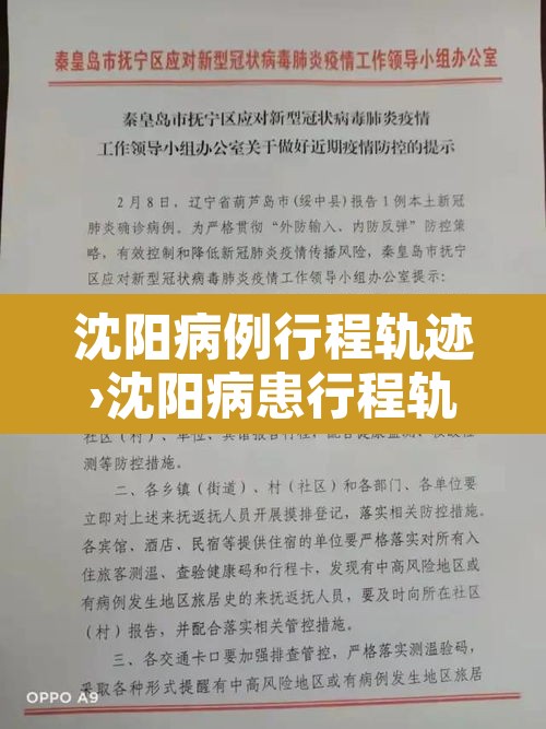 沈阳病例行程轨迹›沈阳病患行程轨迹 沈阳病例行程轨迹›沈阳病患行程轨迹