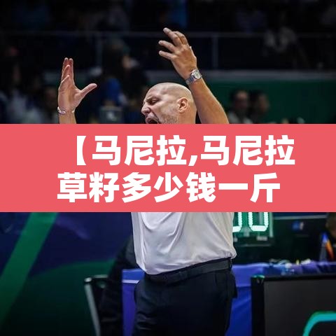 【马尼拉,马尼拉草籽多少钱一斤】 【马尼拉,马尼拉草籽多少钱一斤】