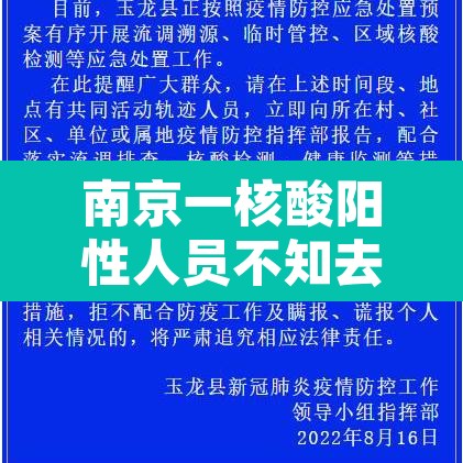 南京一核酸阳性人员不知去向? → 南京前6轮核酸检出阳性233人 南京一核酸阳性人员不知去向? → 南京前6轮核酸检出阳性233人