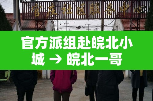 官方派组赴皖北小城 → 皖北一哥