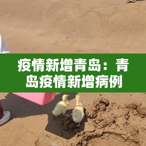 疫情新增青岛:青岛疫情新增病例 疫情新增青岛:青岛疫情新增病例