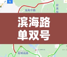 滨海路单双号限行周末›2020年滨海路限行规定 滨海路单双号限行周末›2020年滨海路限行规定