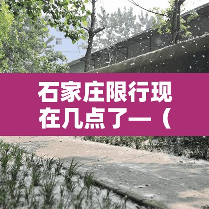 石家庄限行现在几点了—(石家庄限行几点几分) 石家庄限行现在几点了—(石家庄限行几点几分)