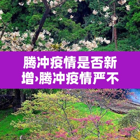 腾冲疫情是否新增›腾冲疫情严不严重