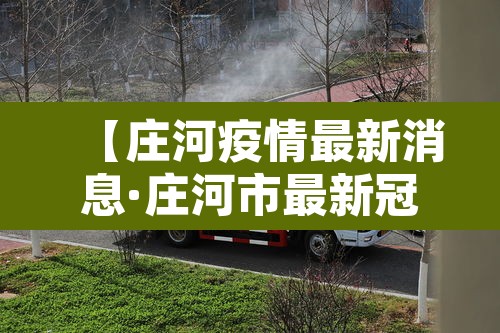 【庄河疫情最新消息·庄河市最新冠状病毒疫情】 【庄河疫情最新消息·庄河市最新冠状病毒疫情】