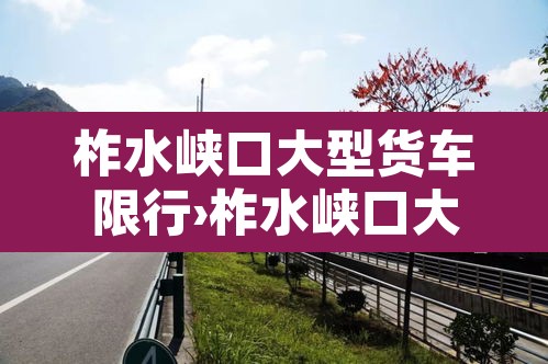 柞水峡口大型货车限行›柞水峡口大型货车限行时间 柞水峡口大型货车限行›柞水峡口大型货车限行时间
