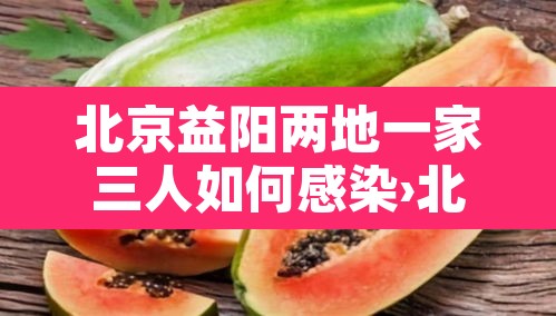 北京益阳两地一家三人如何感染›北京一家三口感染新型冠状病毒