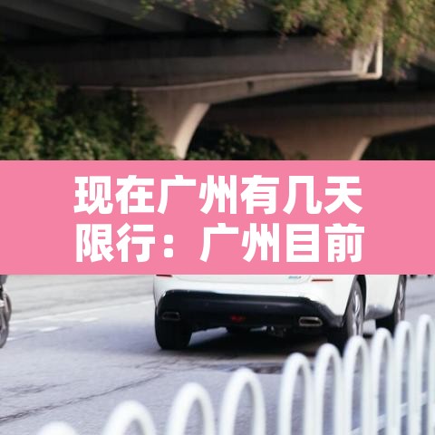 现在广州有几天限行：广州目前有限行吗