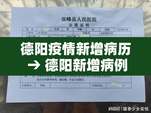 德阳疫情新增病历 → 德阳新增病例 德阳疫情新增病历 → 德阳新增病例