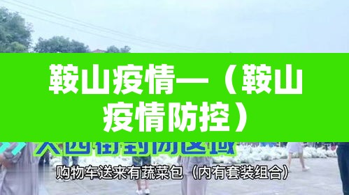 鞍山疫情—(鞍山疫情防控) 鞍山疫情—(鞍山疫情防控)