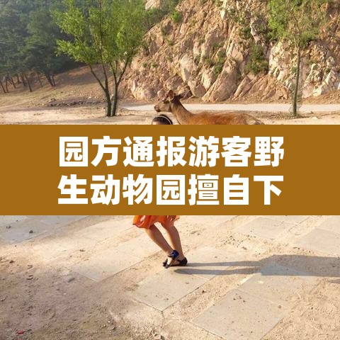 园方通报游客野生动物园擅自下车›野生动物园会把车刮了吗 园方通报游客野生动物园擅自下车›野生动物园会把车刮了吗