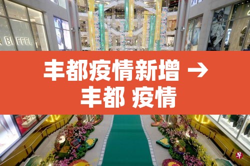 丰都疫情新增 → 丰都 疫情 丰都疫情新增 → 丰都 疫情